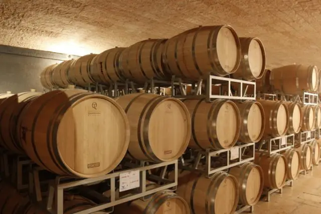Valpolicella French oak barrels. Wine tasting during a private day excursion
