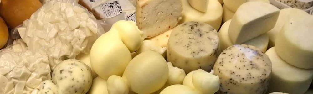 Cheese dairy farm Veneto region