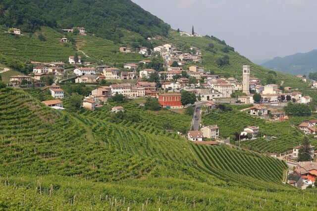 Valdobbiadene prosecco docg wine region.